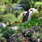 DSC00010