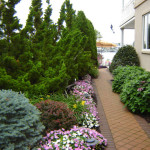 DSC00882